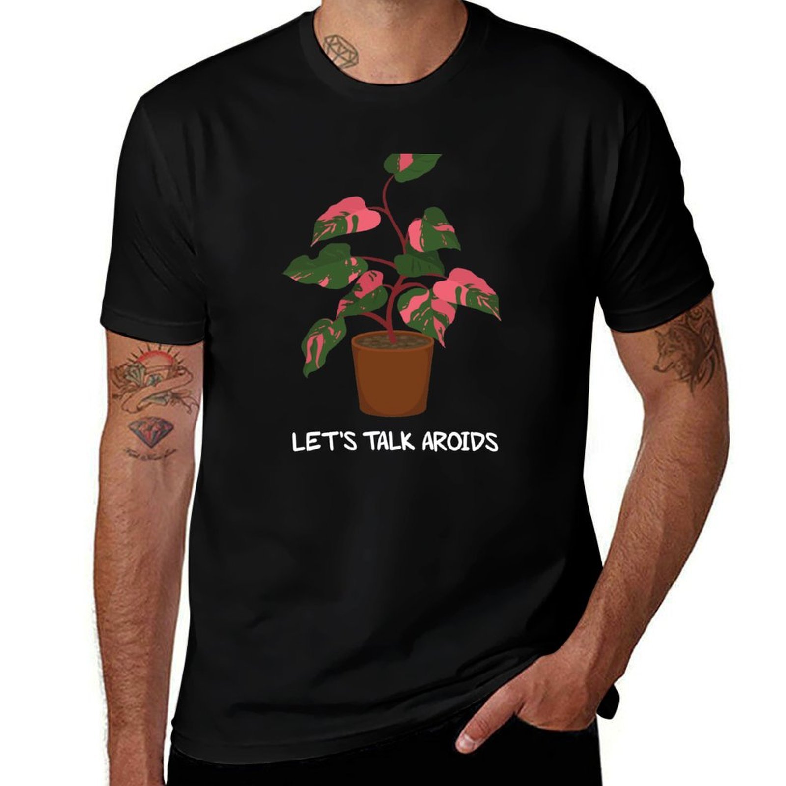Philodendron Pink Princess - Let's Talk Aroids Pink Princess Philodendron