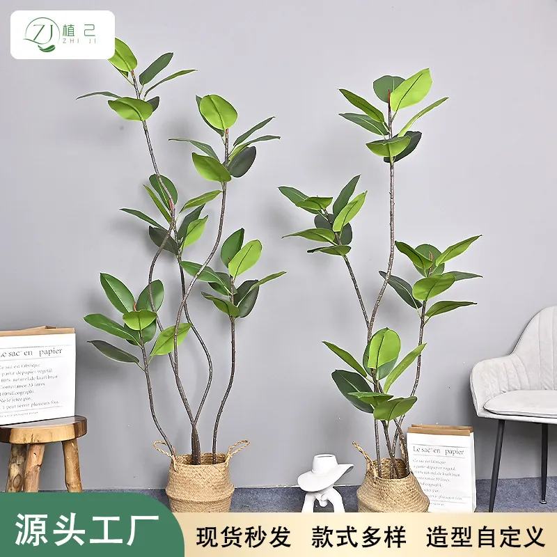 Rubber Plant Ficus - Simulated Black Diamond Rubber Tree Artificial