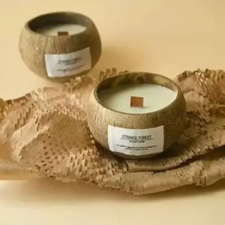 Natural Coconut Shell Scented  - Plant Parenting review and price