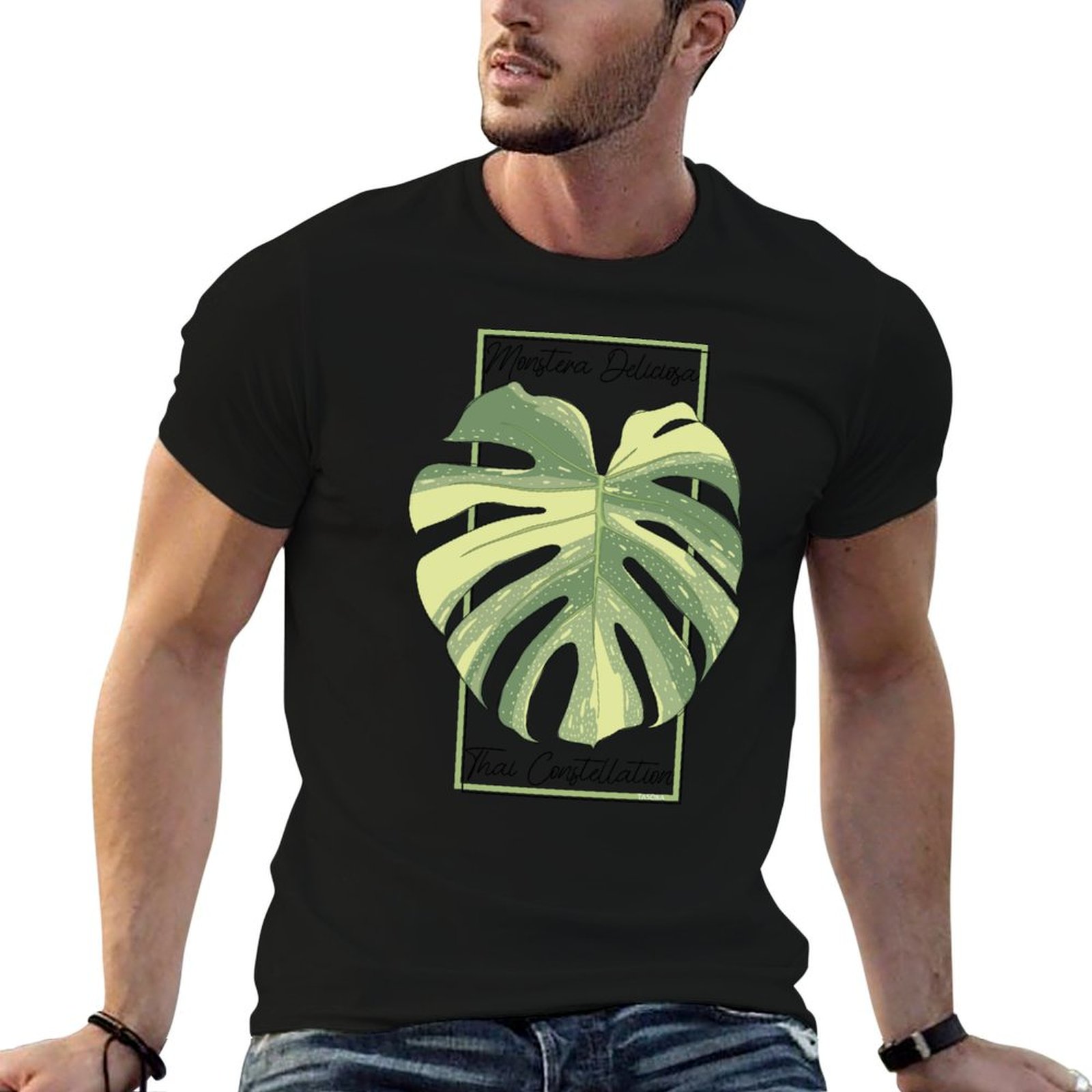 Monstera Thai Constellation Bo - Monstera Thai Constellation review and price