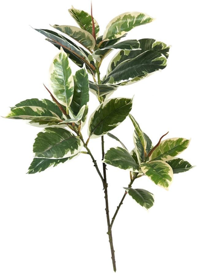 Ficus Tineke Artificial Plant  - Rubber Plant Ficus review and price