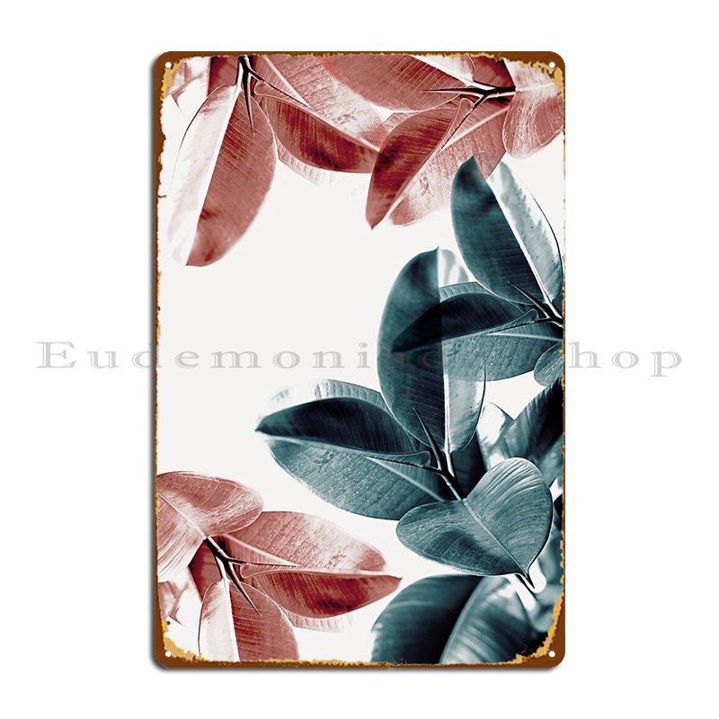 Rubber Plant Leaves Green And  - Rubber Plant Ficus review and price