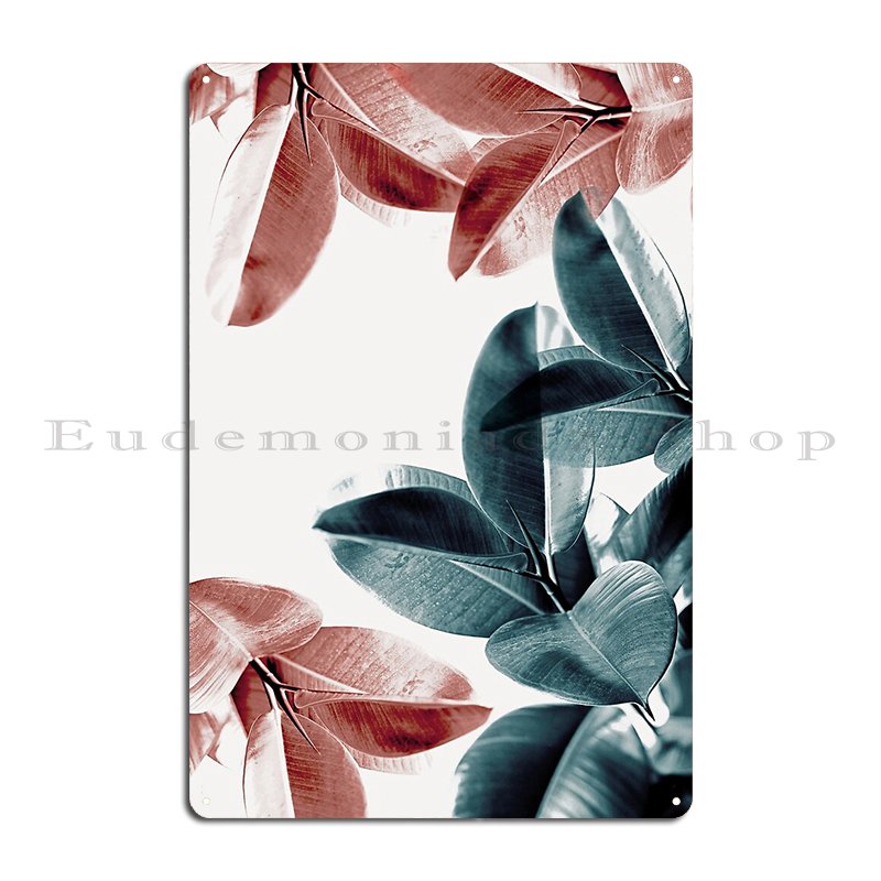 Rubber Plant Leaves Green And  - Rubber Plant Ficus review and price