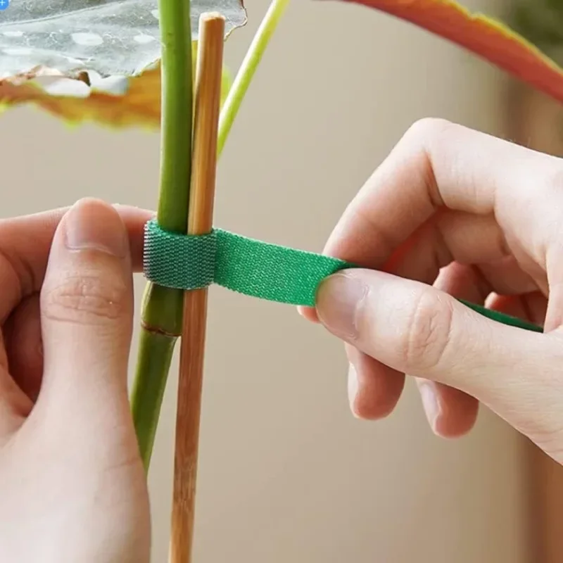 2M Reusable Plant Ties Nylon G - Plant Parenting review and price