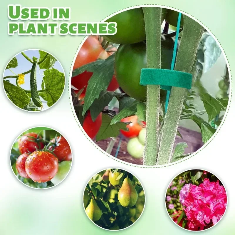 2M Reusable Plant Ties Nylon G - Plant Parenting review and price