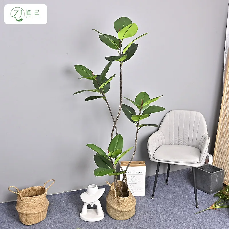 Simulated Black Diamond Rubber - Rubber Plant Ficus review and price