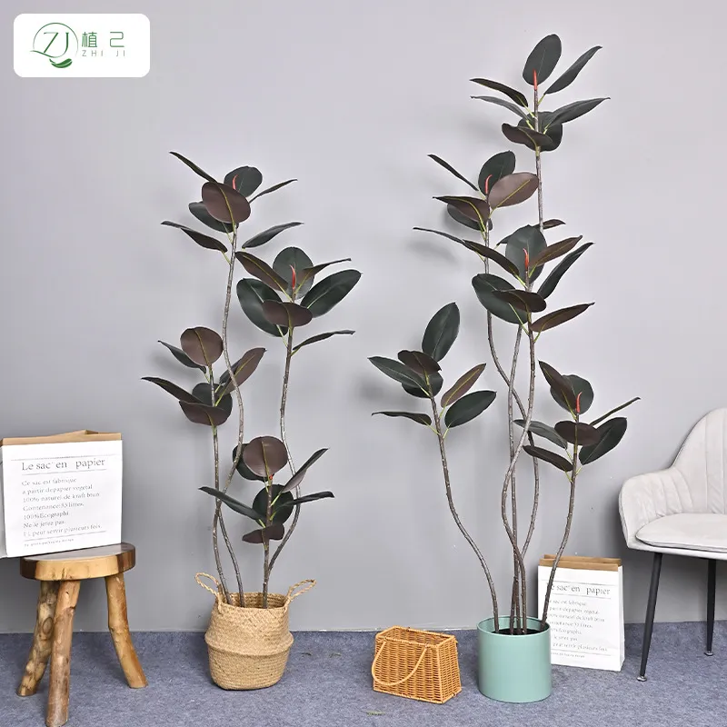Simulated Black Diamond Rubber - Rubber Plant Ficus review and price