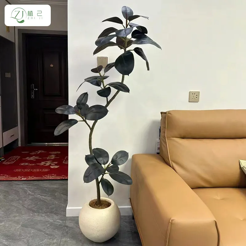 Simulated Black Diamond Rubber - Rubber Plant Ficus review and price