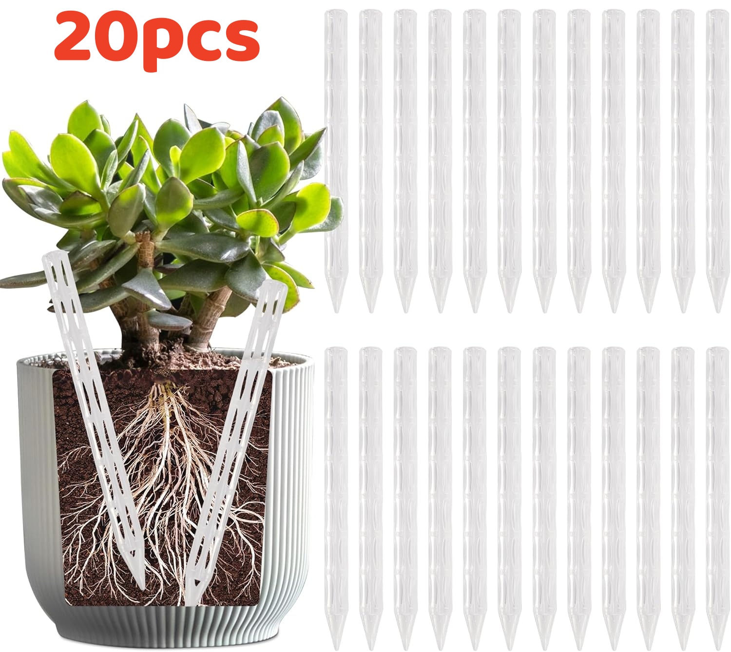 10/20Pcs Drainage Pipes To Pre - Plant Parenting review and price