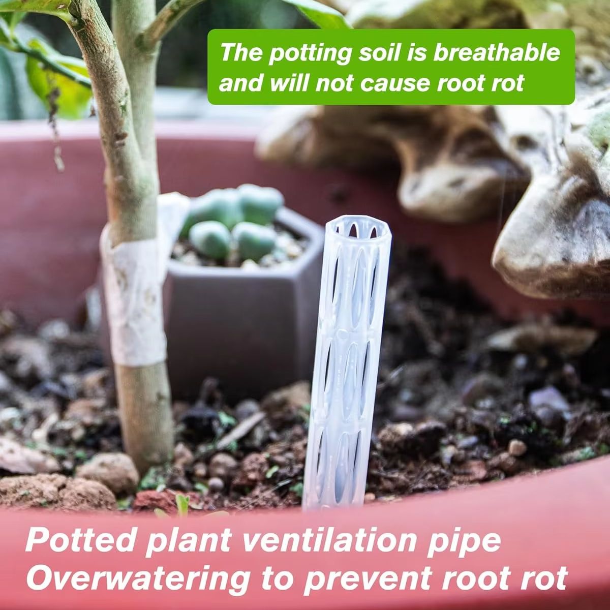 10/20Pcs Drainage Pipes To Pre - Plant Parenting review and price