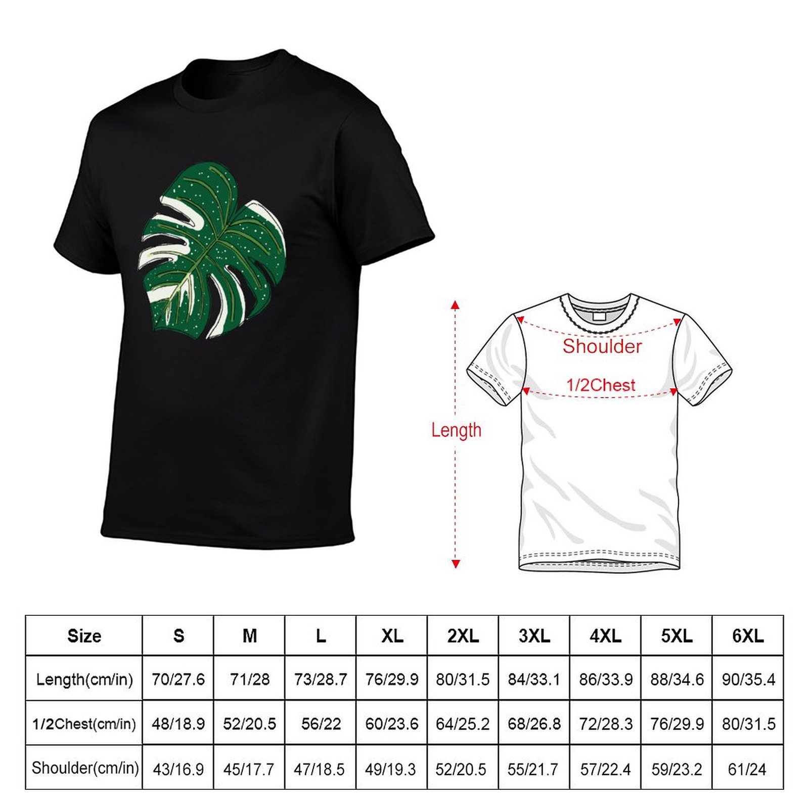 Monstera Thai Constellation T- - Monstera Thai Constellation review and price