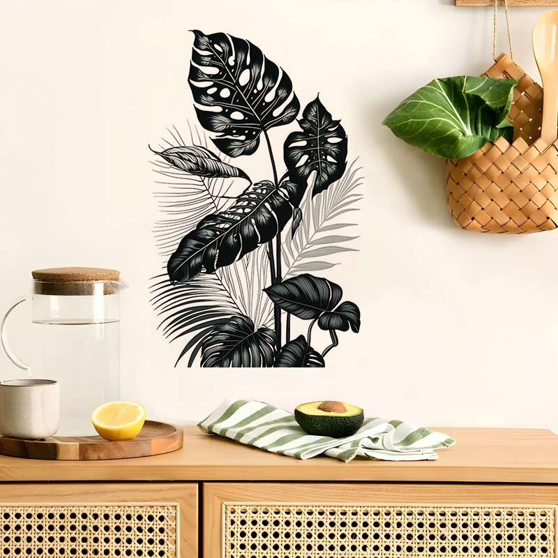 MT1184# Black and White Tropic - Monstera Thai Constellation review and price