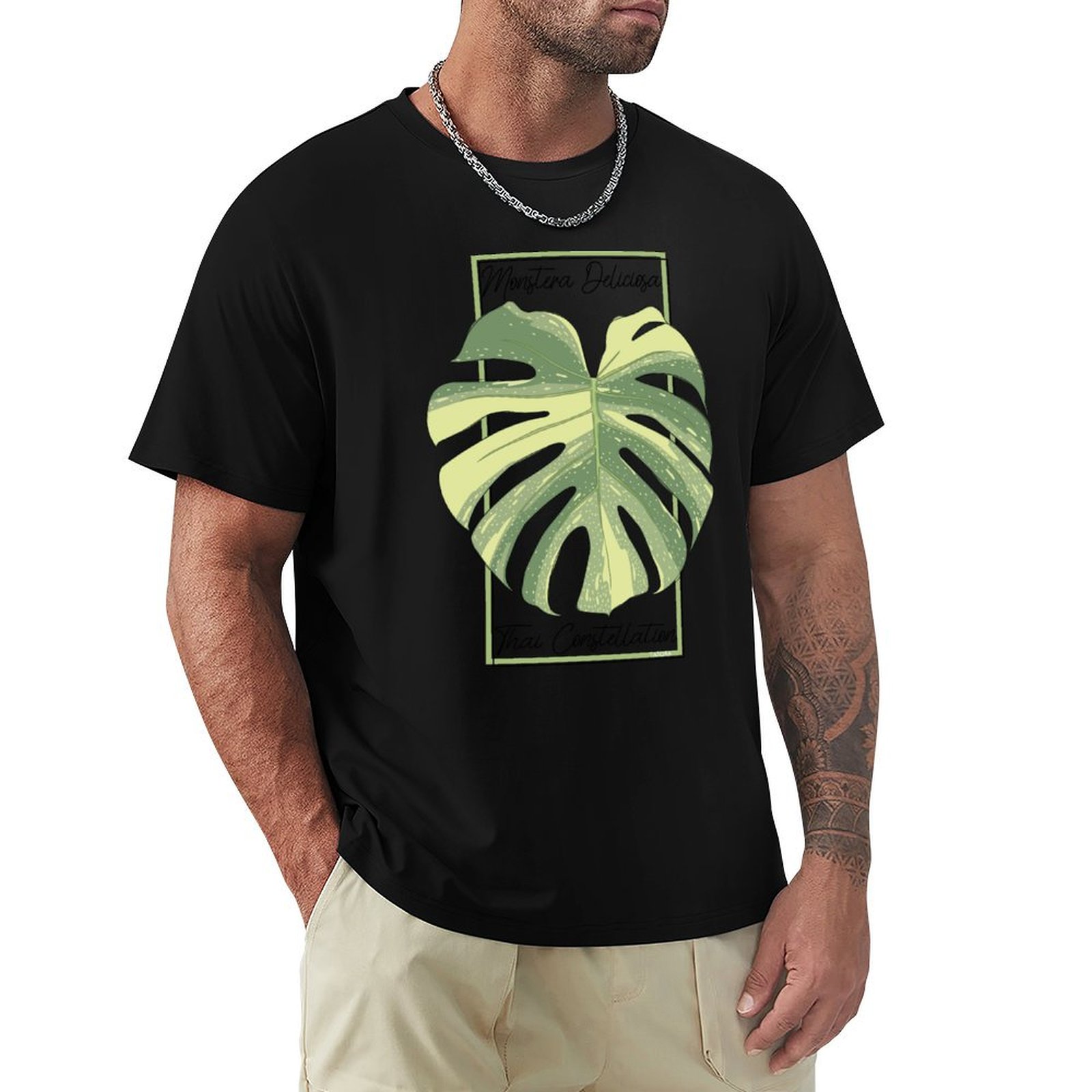 Monstera Thai Constellation Bo - Monstera Thai Constellation review and price
