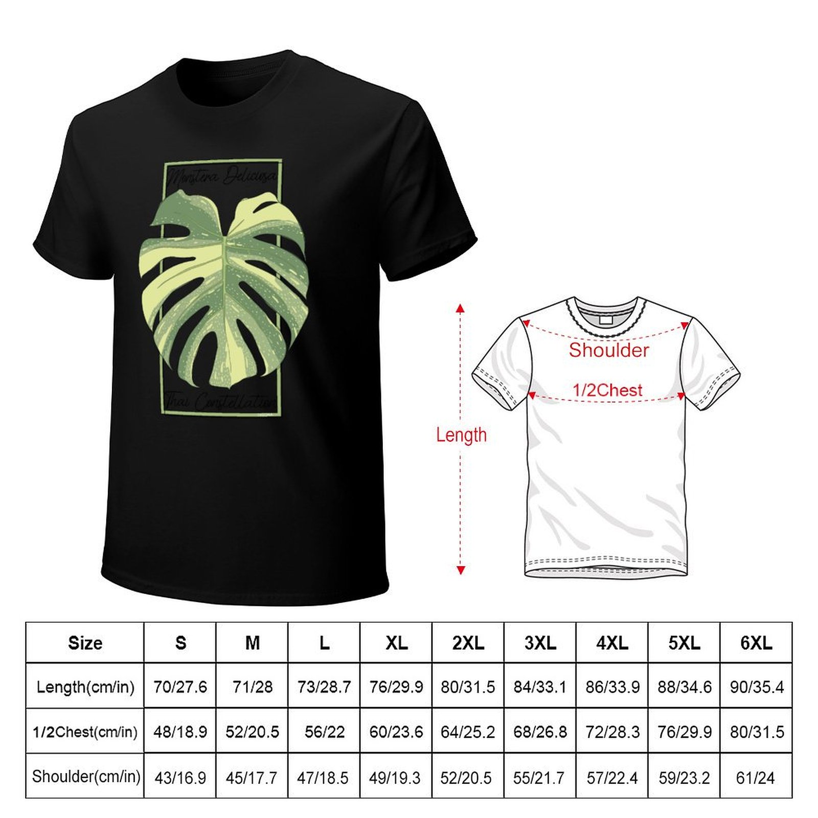Monstera Thai Constellation Bo - Monstera Thai Constellation review and price